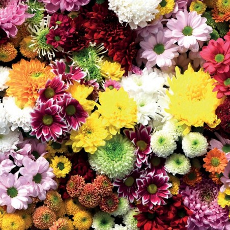 Flower Wall Acrylic - Showerwall Panel - Swatch