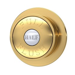 Traditional Brushed Brass Dual Flush Button - Main