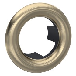 Round Brushed Brass Overflow Cover - Main