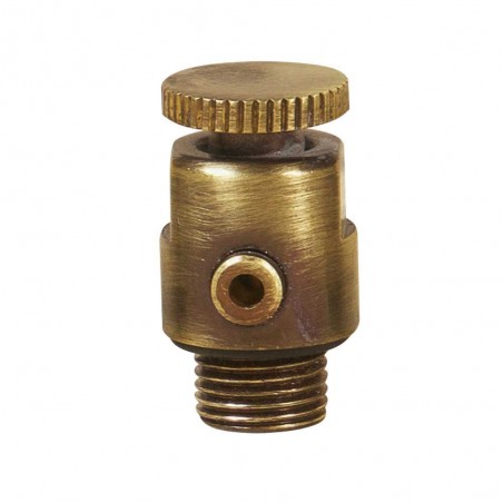 Antique Brass Luxury Bleed Valve