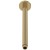 Brushed Brass Ceiling-Mounted Shower Arm 300mm - Main