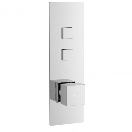 Ignite Square Shower Valve with 2 Outlets - Main