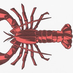 Lobster White Stone Non Slip Bath Mat