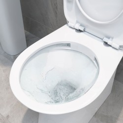 Salerno Rimless Back to Wall WC & Soft Close Seat