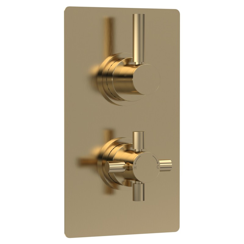 Tec Pura Brushed Brass Twin Thermostatic Shower Valve Tec Pura Brushed Brass Twin Thermostatic Shower Valve