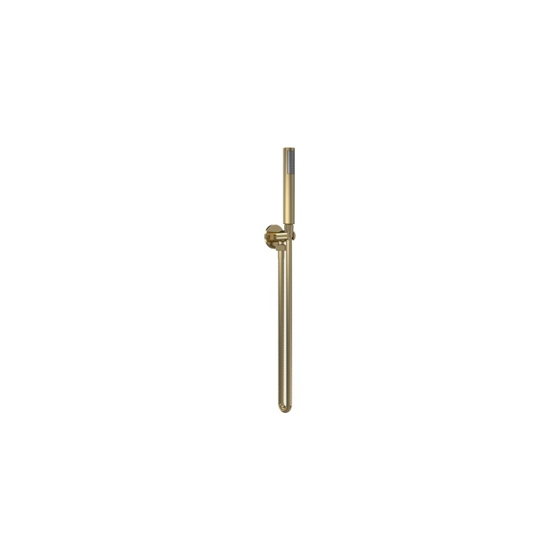 Brushed Brass Round Outlet Elbow, Parking Bracket, Shower Hose and Handset