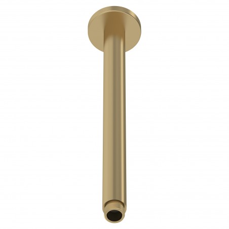 Brushed Brass Ceiling-Mounted Shower Arm 300mm