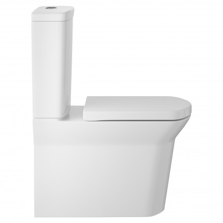 Maya Flush to Wall Toilet and Seat