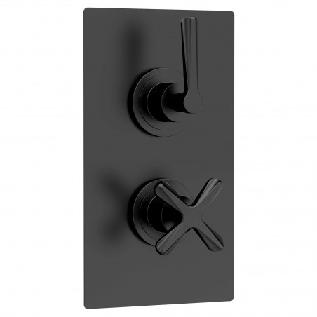 Matt Black Aztec Twin Thermostatic Shower Valve - 1  Outlet