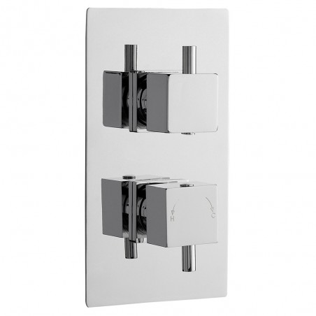 Series L Concealed Shower Valve Dual Handle