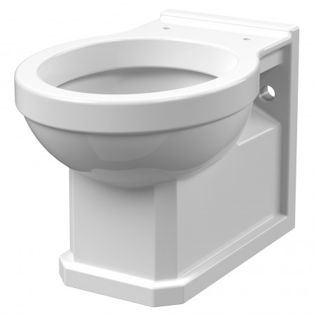 Carlton Wall Hung Toilet