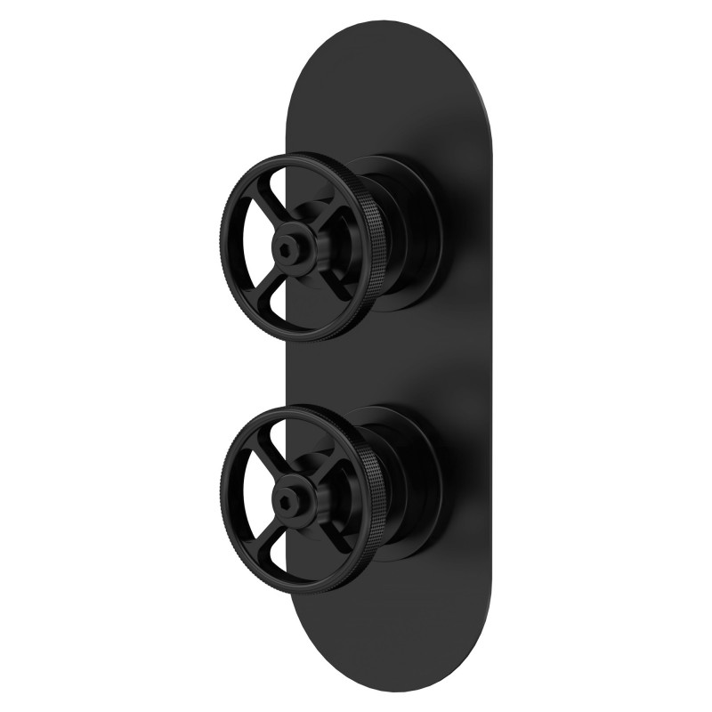 Revolution Matt Black Twin Valve with Diverter Revolution Matt Black Twin Valve with Diverter