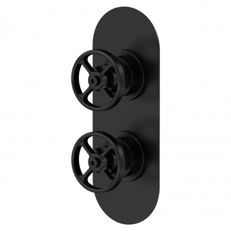 Revolution Matt Black Twin Valve with Diverter