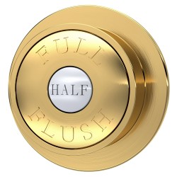 Traditional Brushed Brass Dual Flush Button