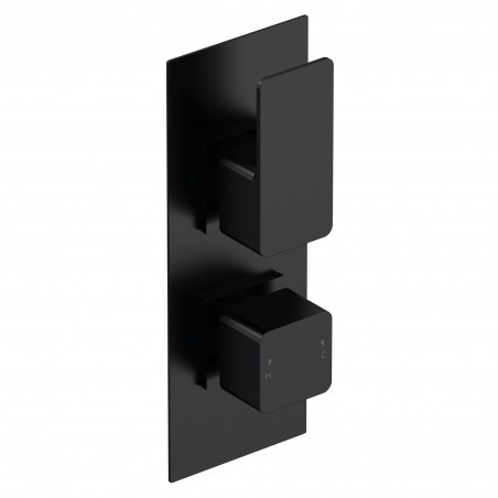 Matt Black Windon Twin Thermostatic Valve