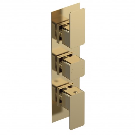 Brushed Brass Windon Triple Thermostatic Valve