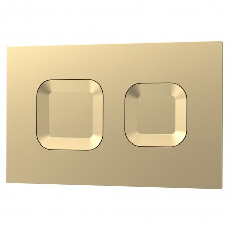 Brushed Brass Square Dual Flush Push Button