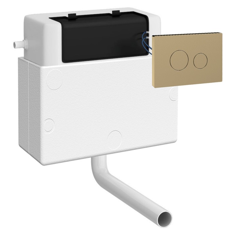 Universal Access Pneumatic Dual Flush Toilet Concealed Cistern with Brushed Brass Square Flush Plate