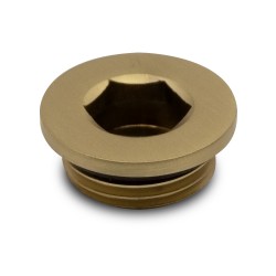 Brushed Brass Blanking Plug