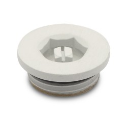 Matt White Bleed Valve