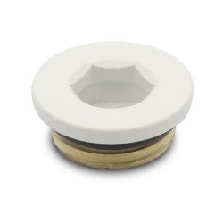 Matt White Blanking Plug