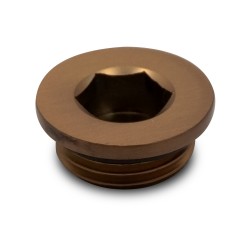 Brushed Bronze Blanking Plug